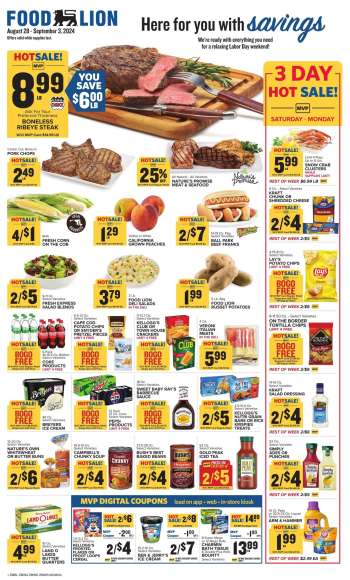 Food Lion Flyer - 08/28/2024 - 09/03/2024.