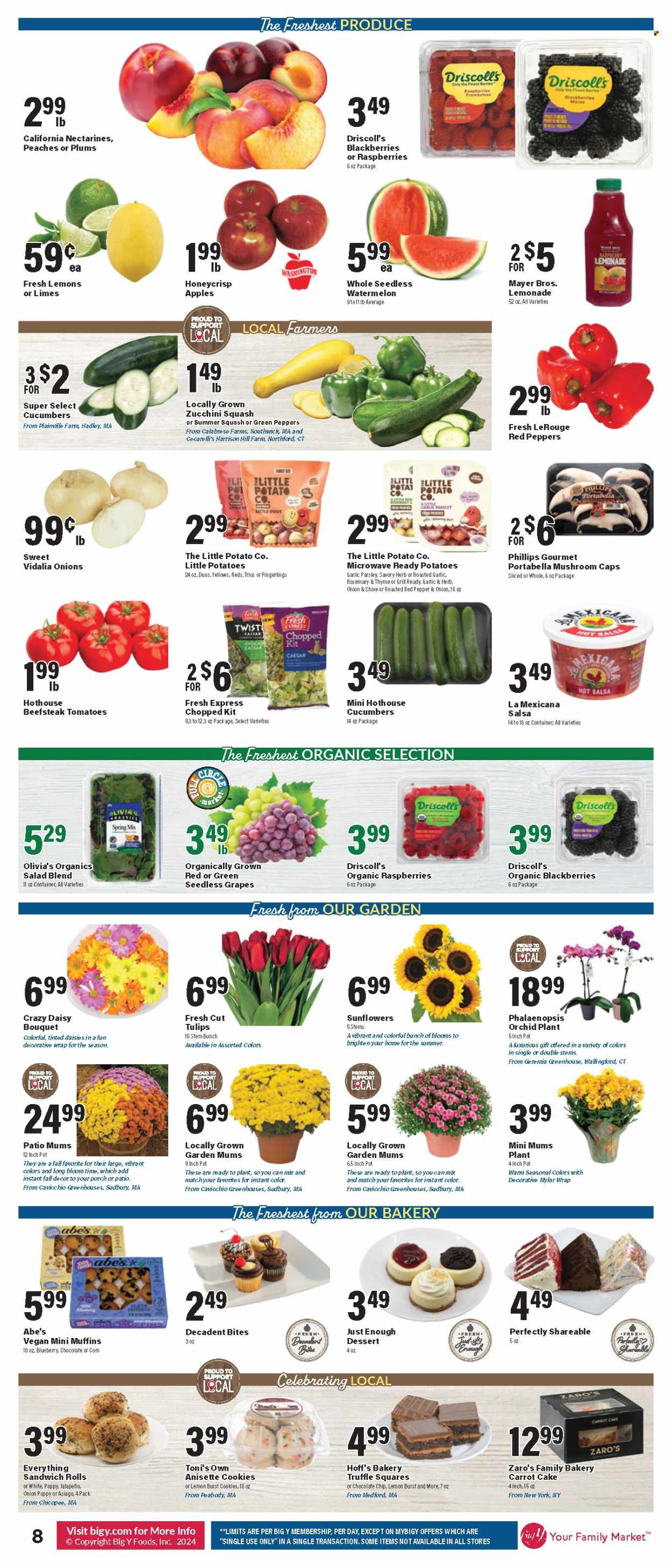 Big Y ad - 08/29/2024 - 09/04/2024. Page 9