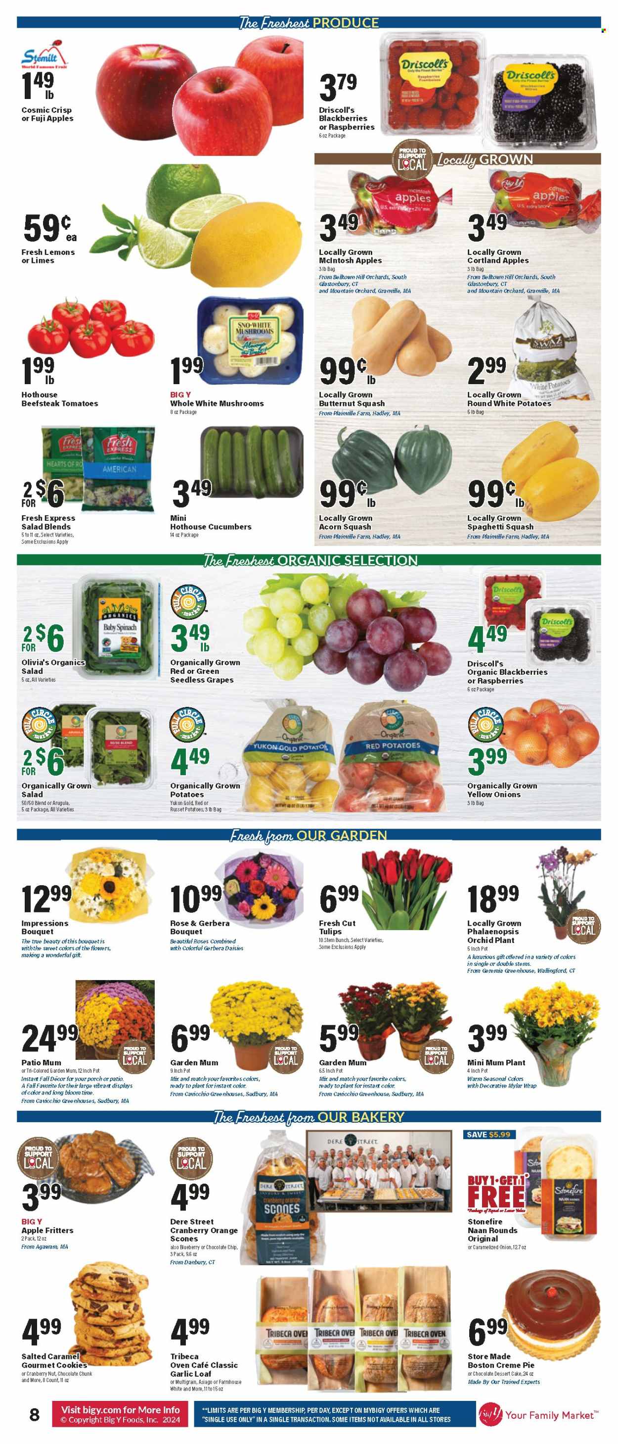 Big Y ad - 09/12/2024 - 09/18/2024. Page 9