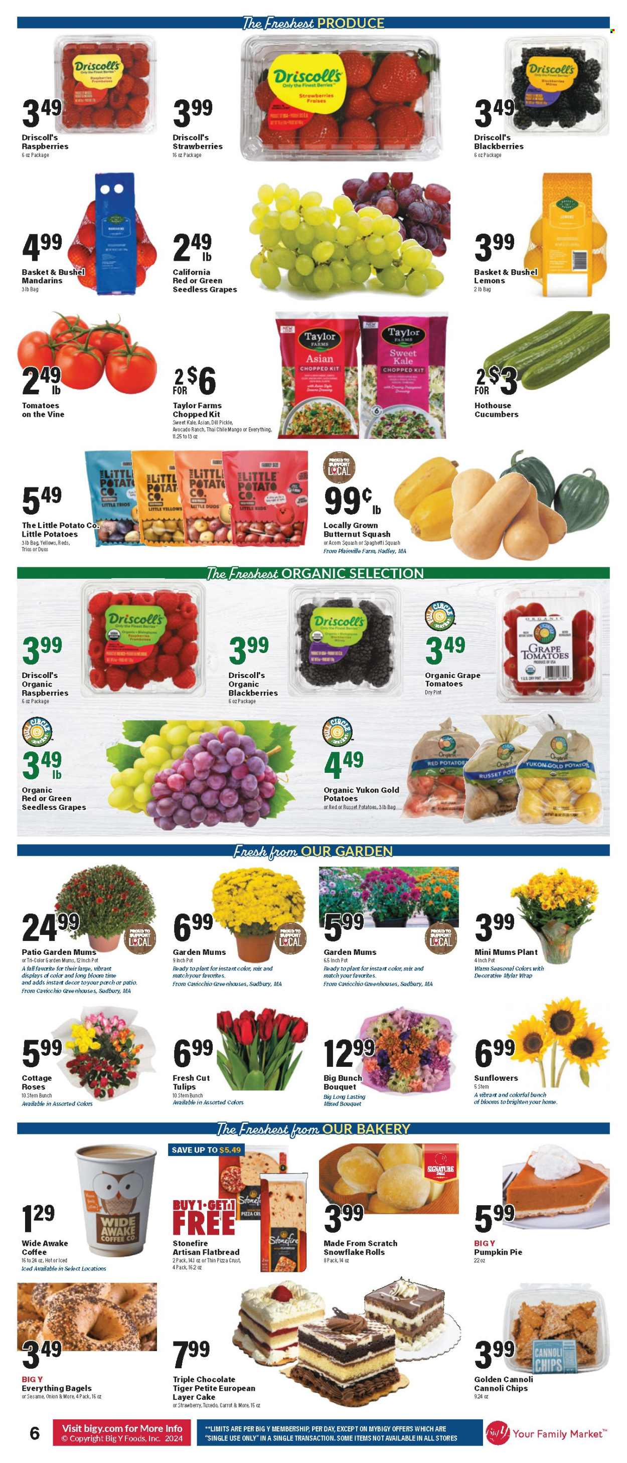 Big Y ad - 09/19/2024 - 09/25/2024. Page 9