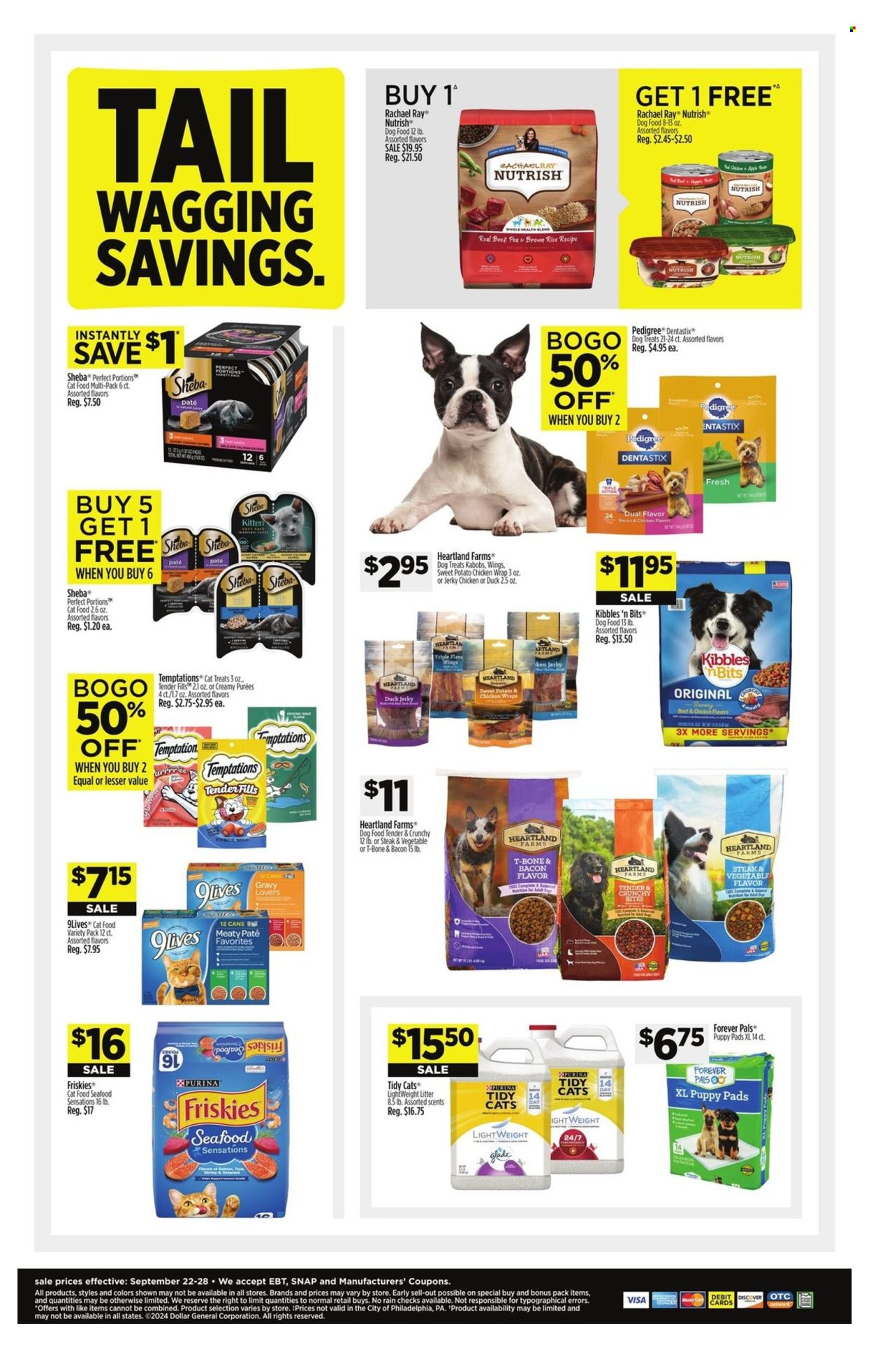 Dollar General ad - 09/22/2024 - 09/28/2024. Page 9