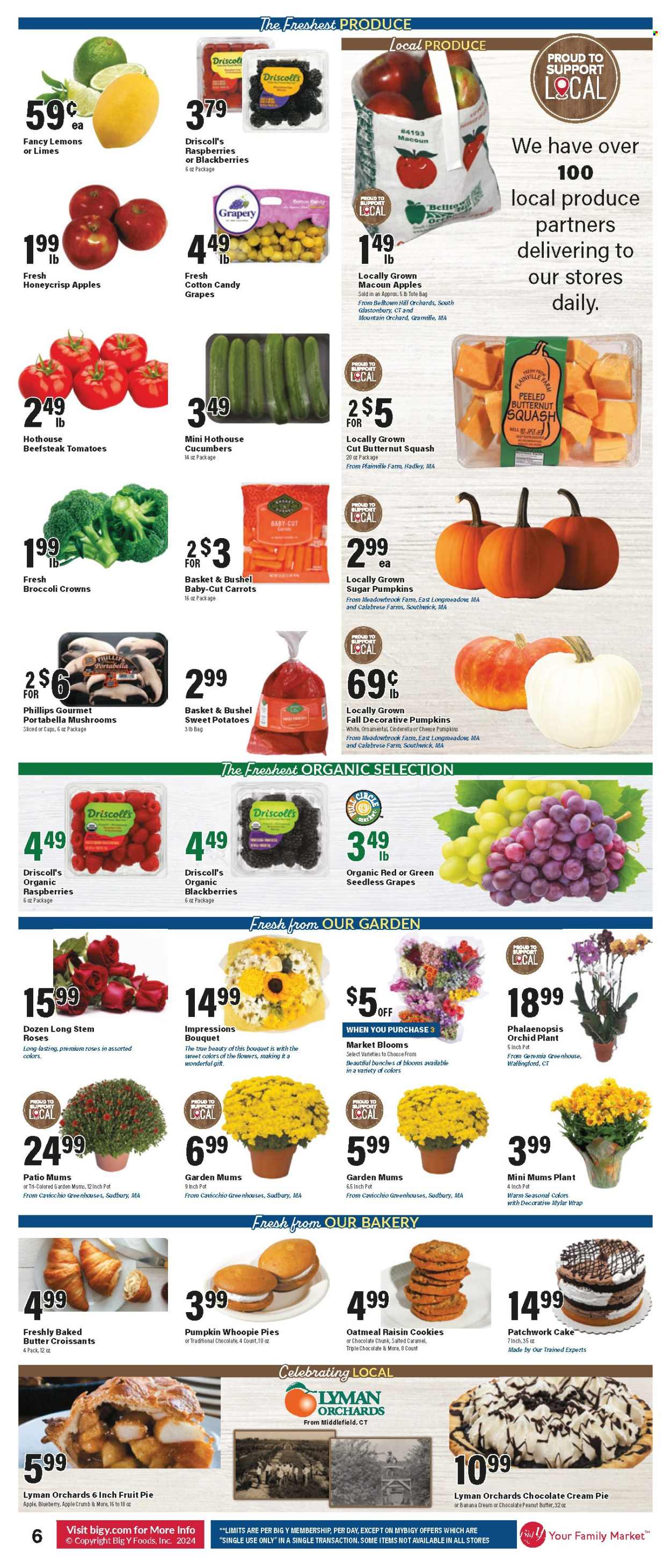 Big Y ad - 09/26/2024 - 10/02/2024. Page 7