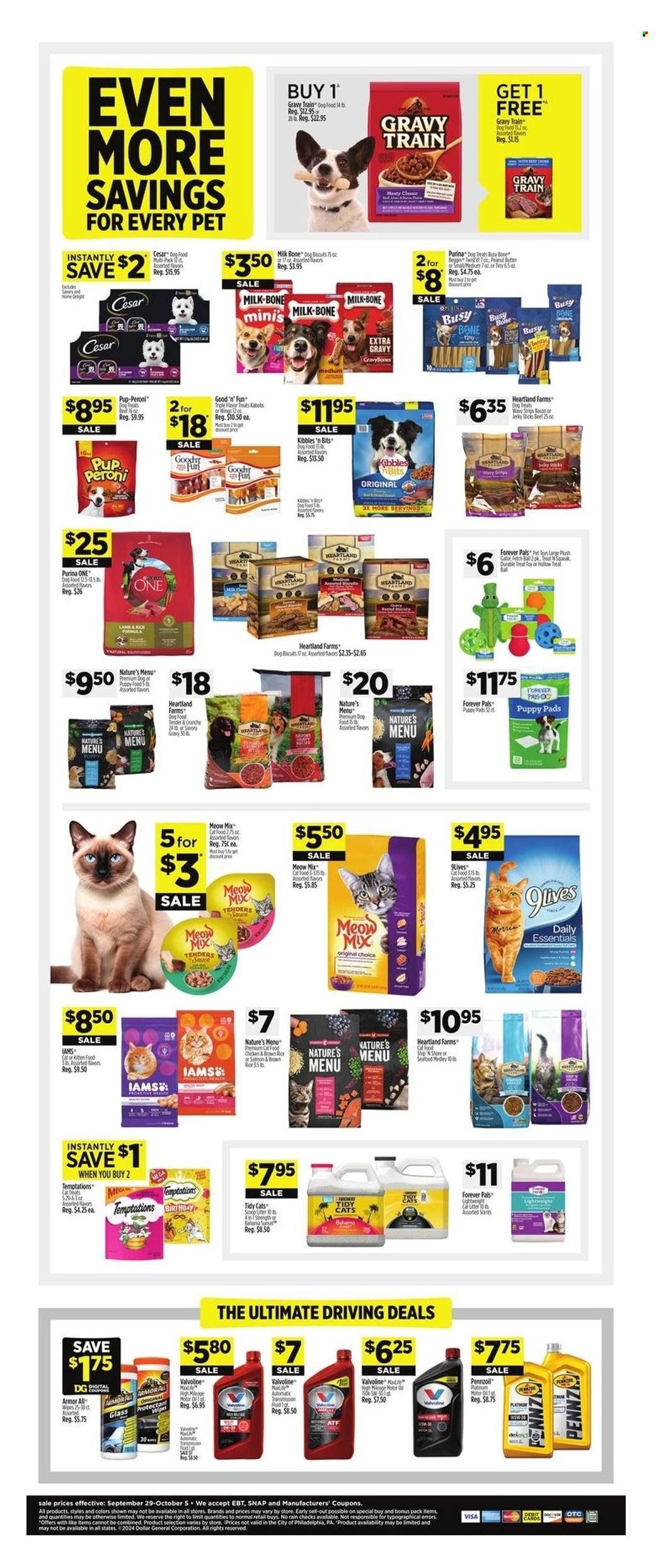 Dollar General ad - 09/29/2024 - 10/05/2024. Page 9