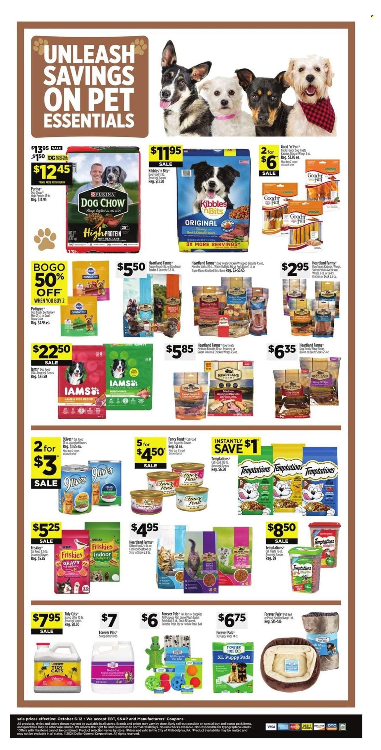 Dollar General ad - 10/06/2024 - 10/12/2024. Page 8