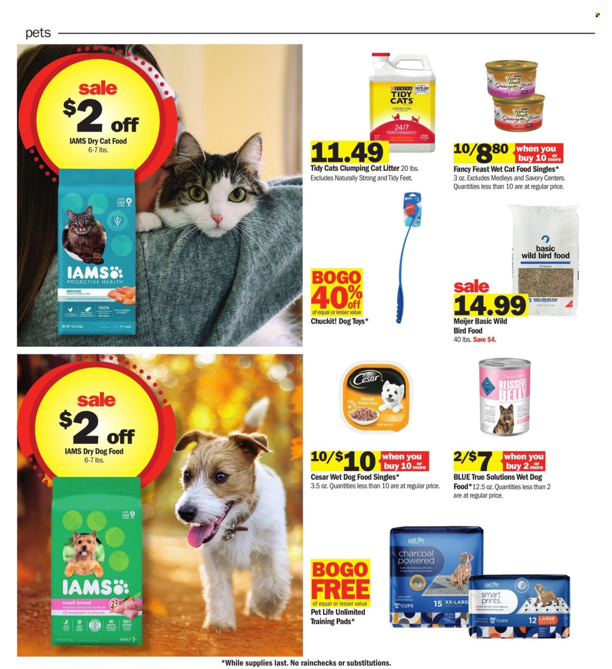 Meijer ad - 10/13/2024 - 10/19/2024. Page 31