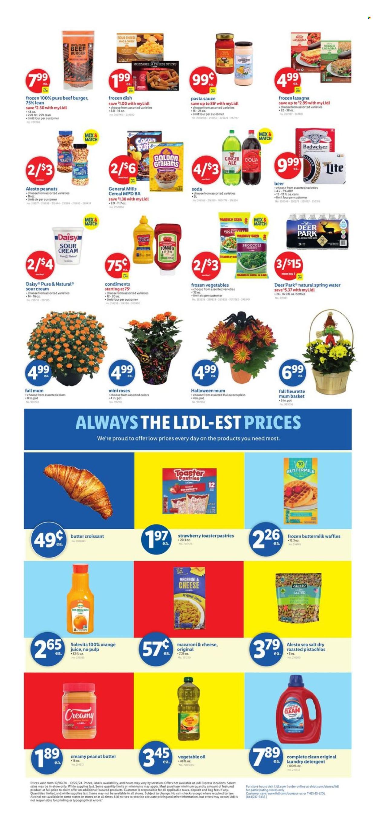 Lidl ad - 10/16/2024 - 10/22/2024. Page 2