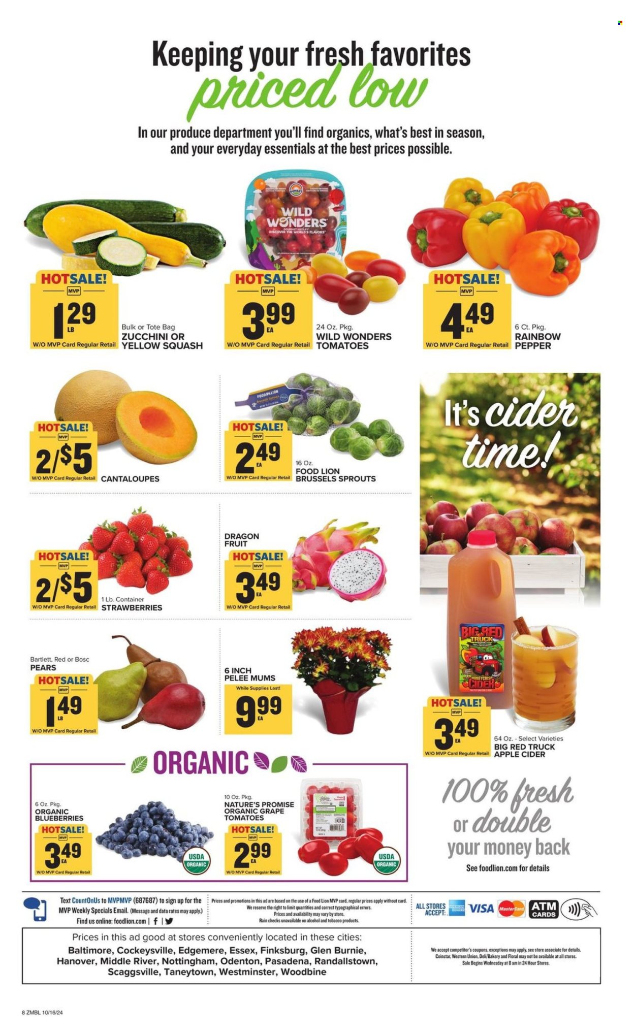 Food Lion ad - 10/16/2024 - 10/22/2024. Page 8