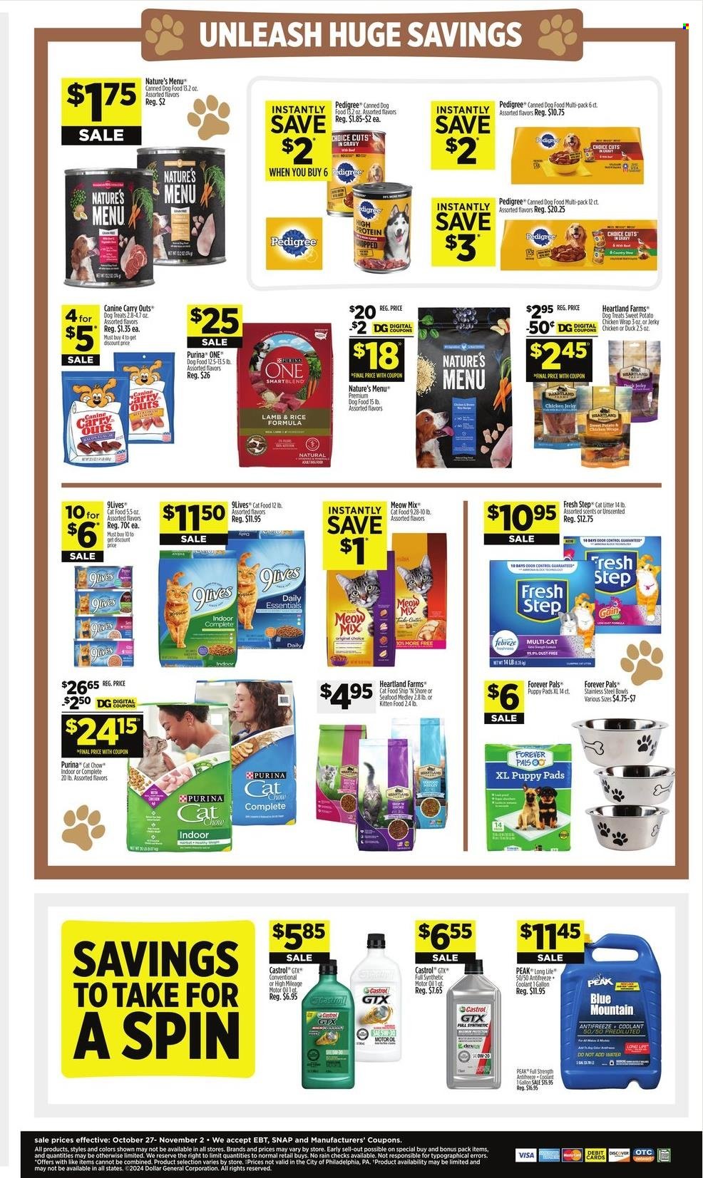 Dollar General ad - 10/27/2024 - 11/02/2024. Page 15