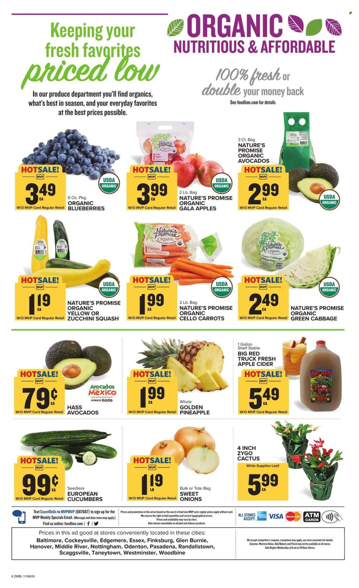 Food Lion ad - 11/06/2024 - 11/12/2024. Page 8