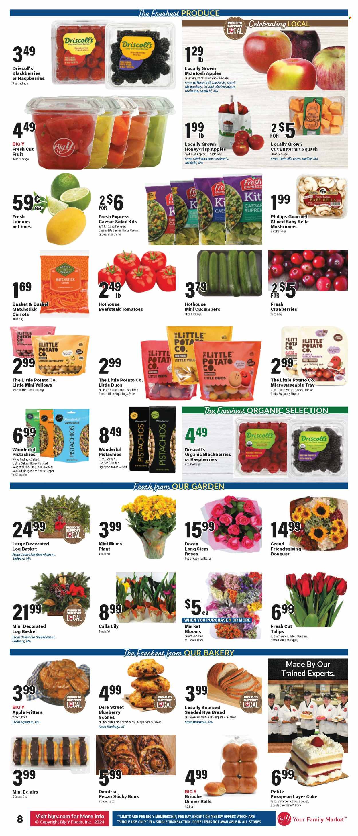 Big Y ad - 11/07/2024 - 11/13/2024. Page 9