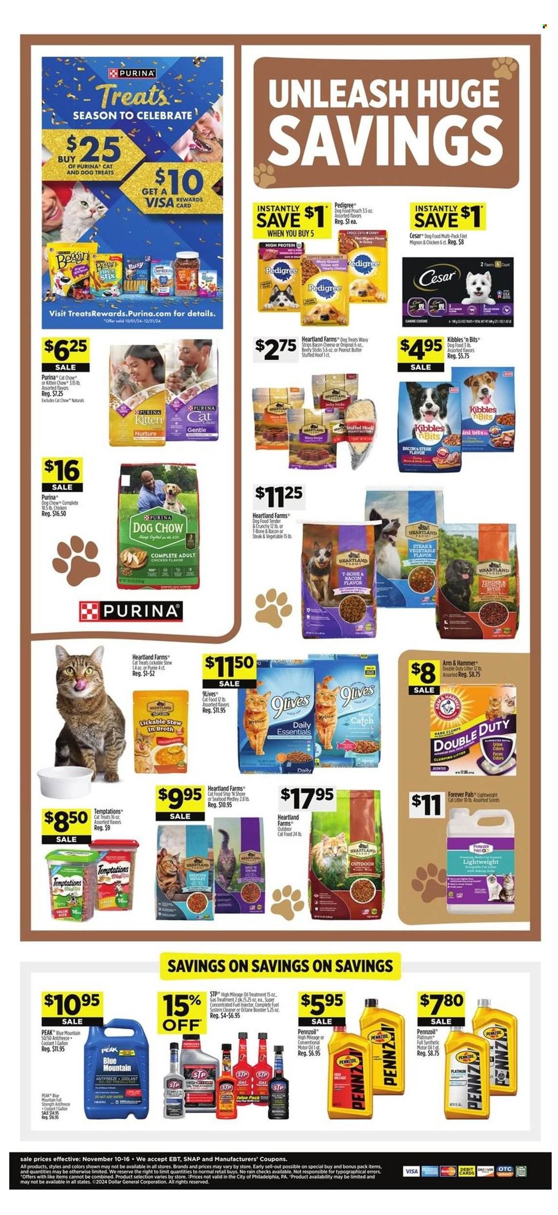 Dollar General ad - 11/10/2024 - 11/16/2024. Page 14