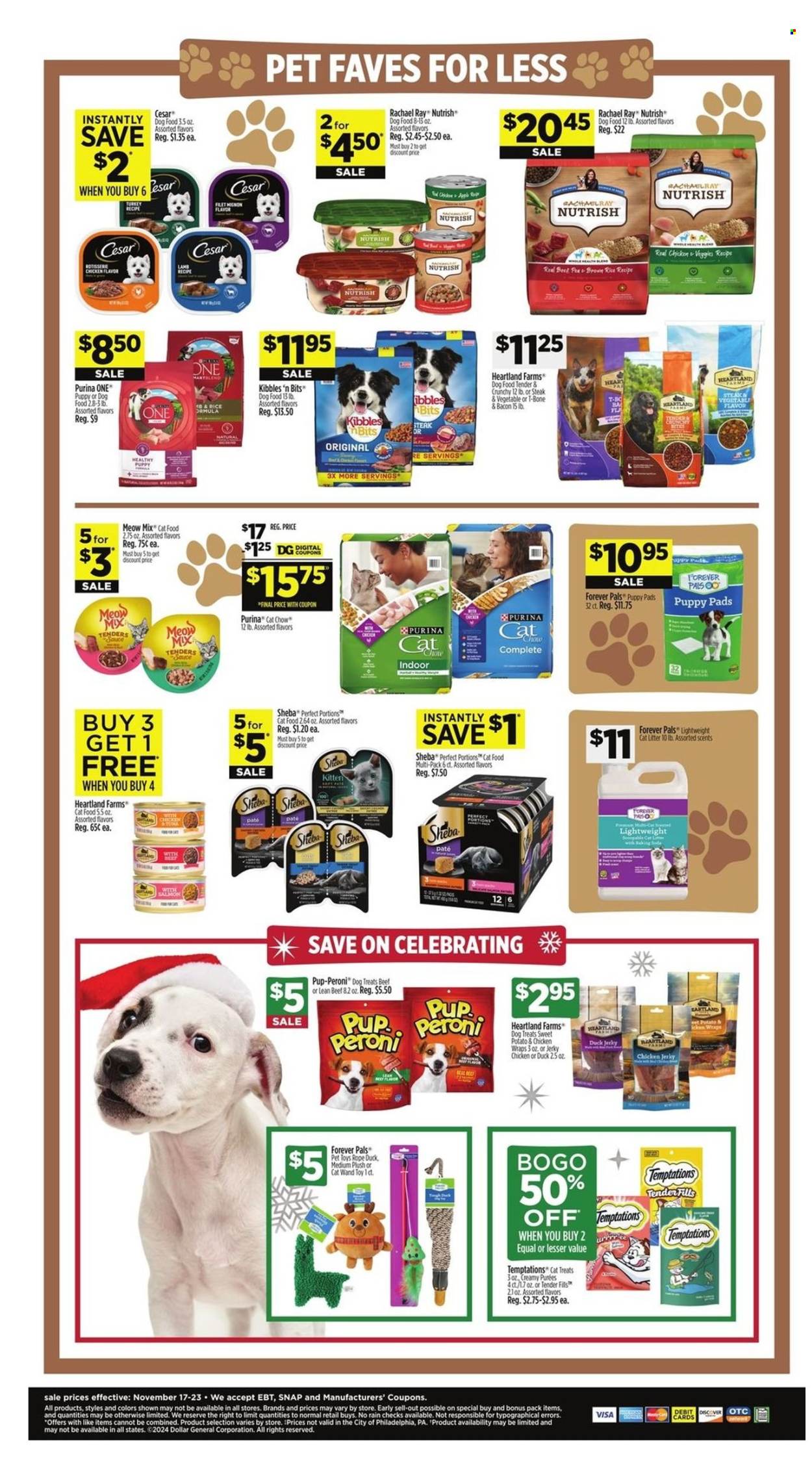 Dollar General ad - 11/17/2024 - 11/23/2024. Page 10