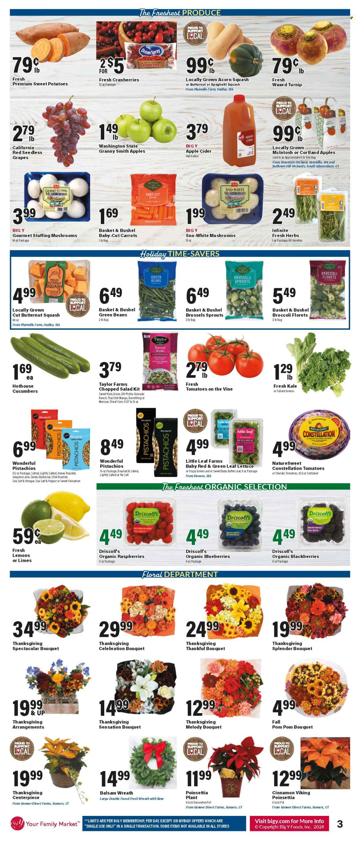 Big Y ad - 11/21/2024 - 11/27/2024. Page 4