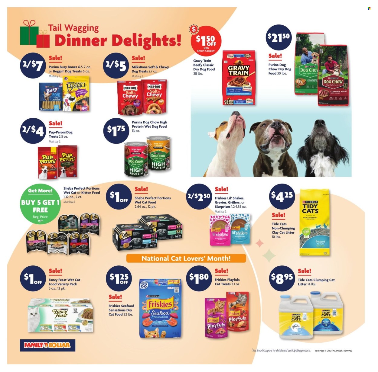 Family Dollar ad - 12/01/2024 - 12/07/2024. Page 13