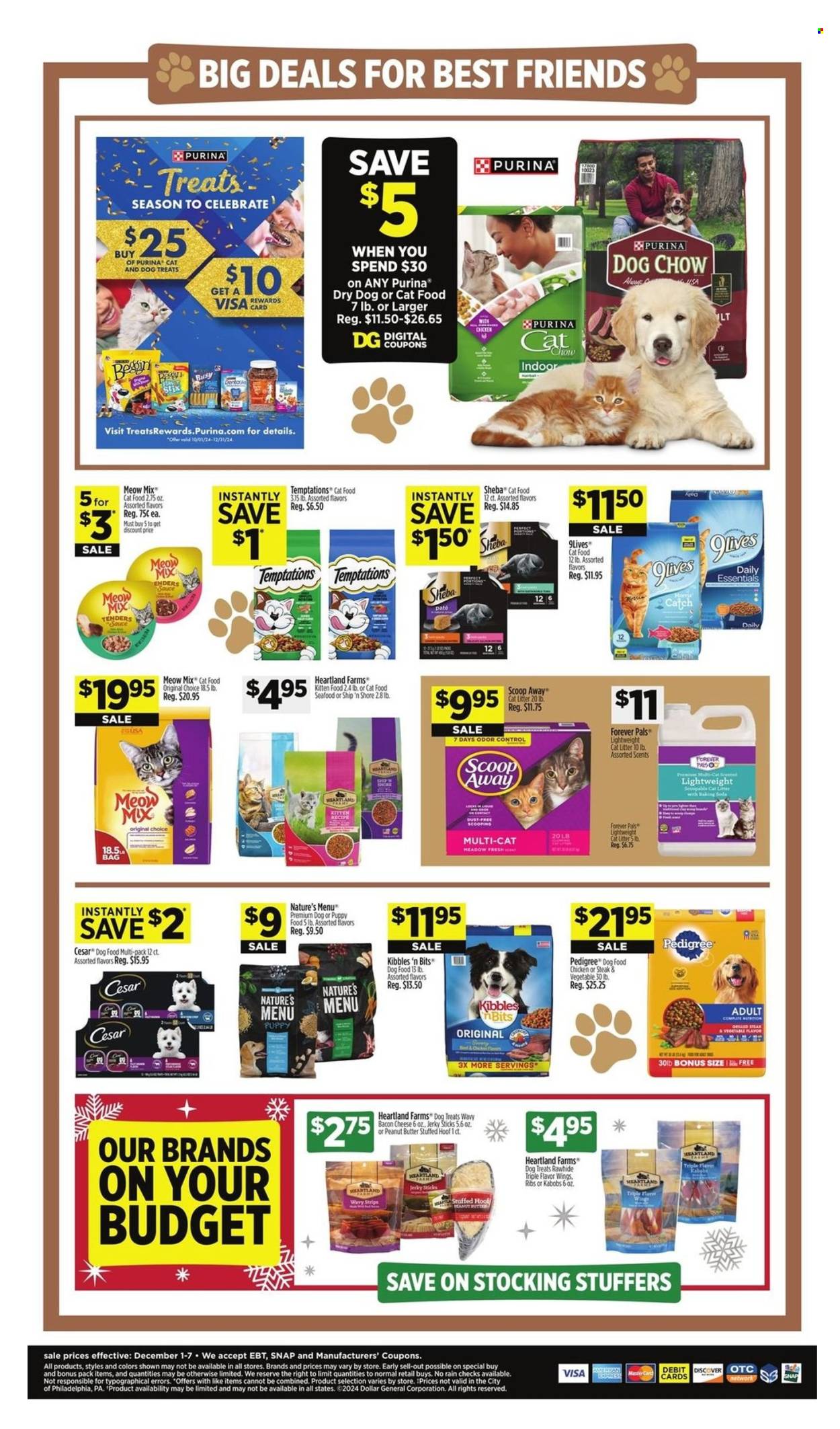Dollar General ad - 12/01/2024 - 12/07/2024. Page 9