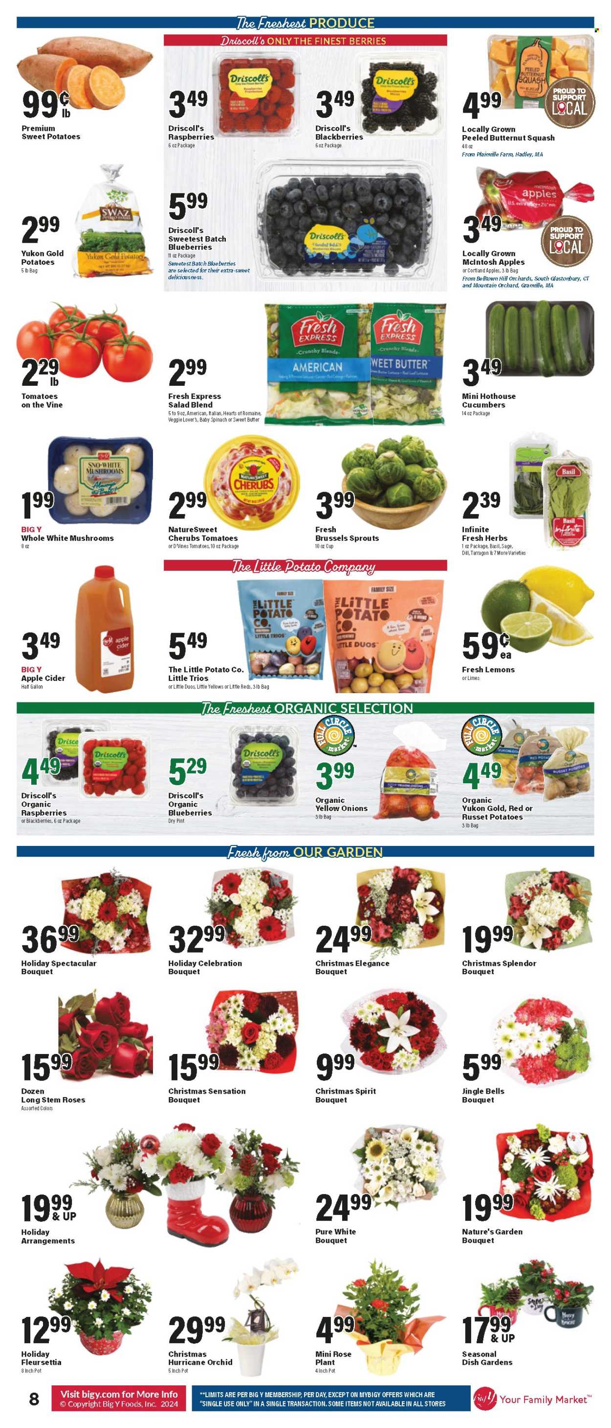 Big Y ad - 12/12/2024 - 12/18/2024. Page 13