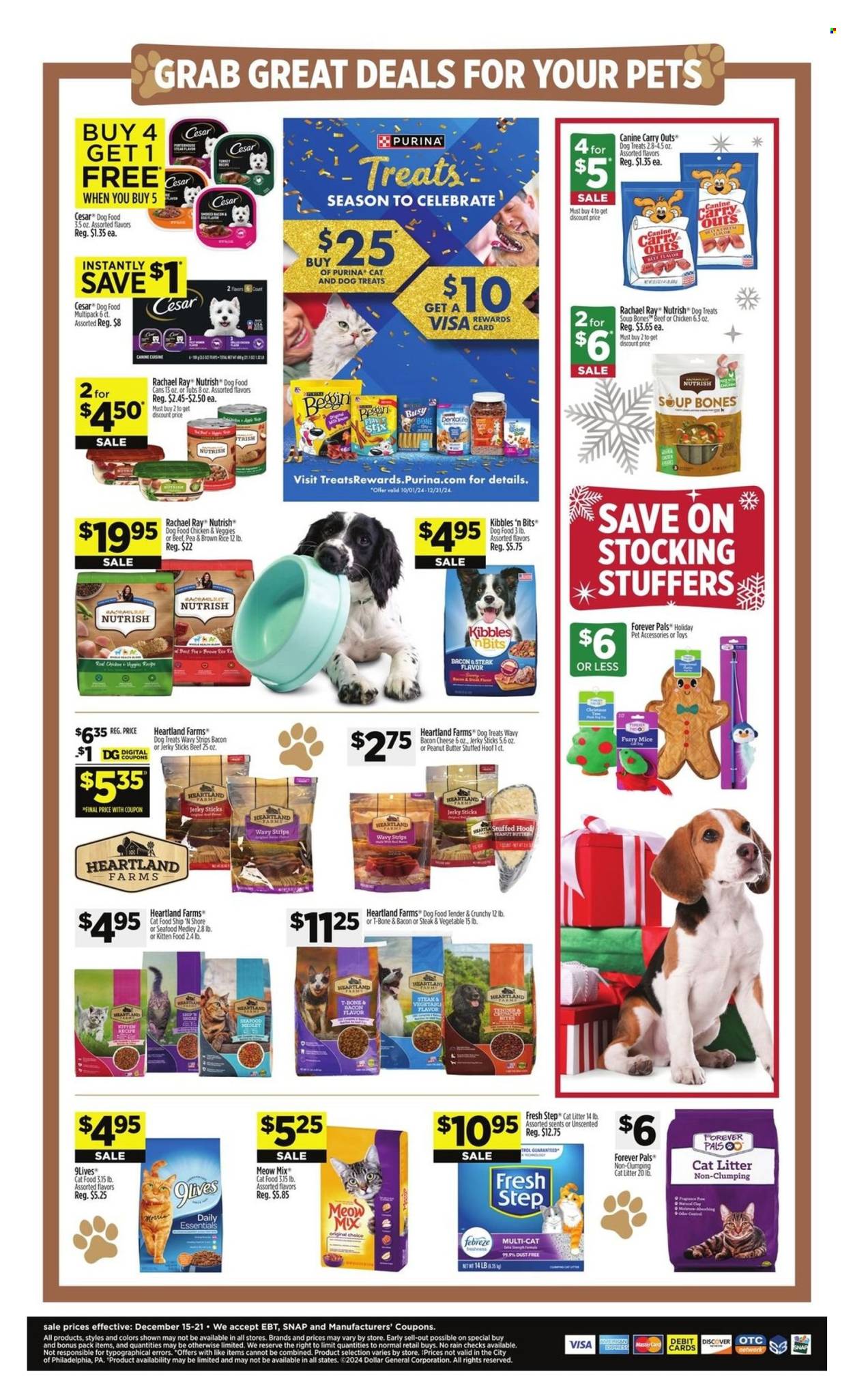 Dollar General ad - 12/15/2024 - 12/21/2024. Page 9
