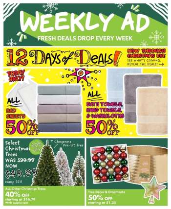 thumbnail - Big Lots Ad - Weekly Ad