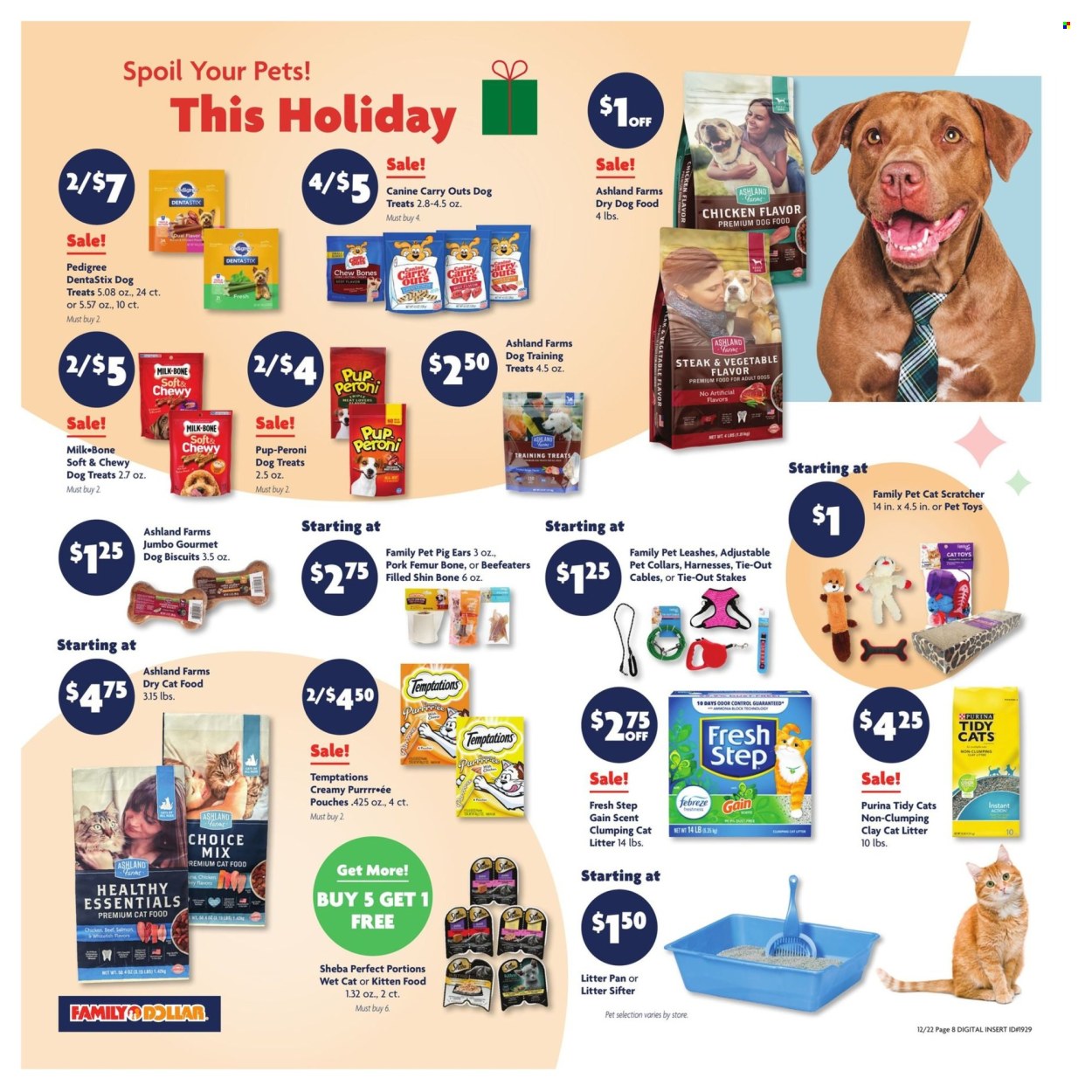 Family Dollar ad - 12/22/2024 - 12/28/2024. Page 17