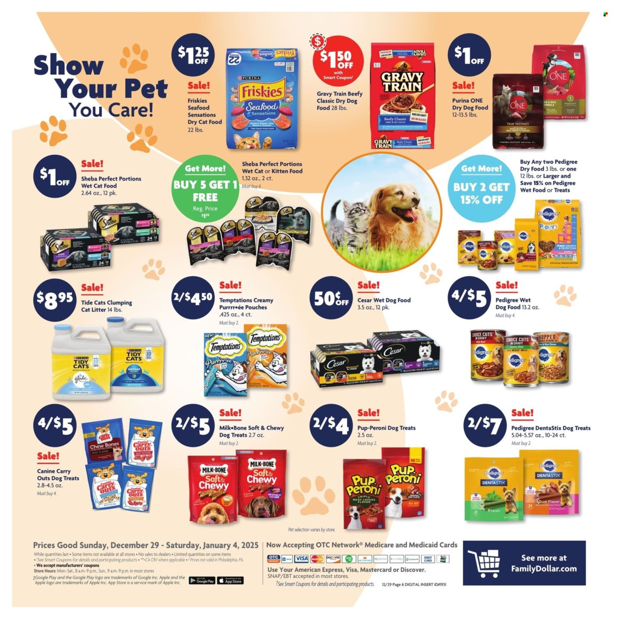 Family Dollar ad - 12/29/2024 - 01/04/2025. Page 12