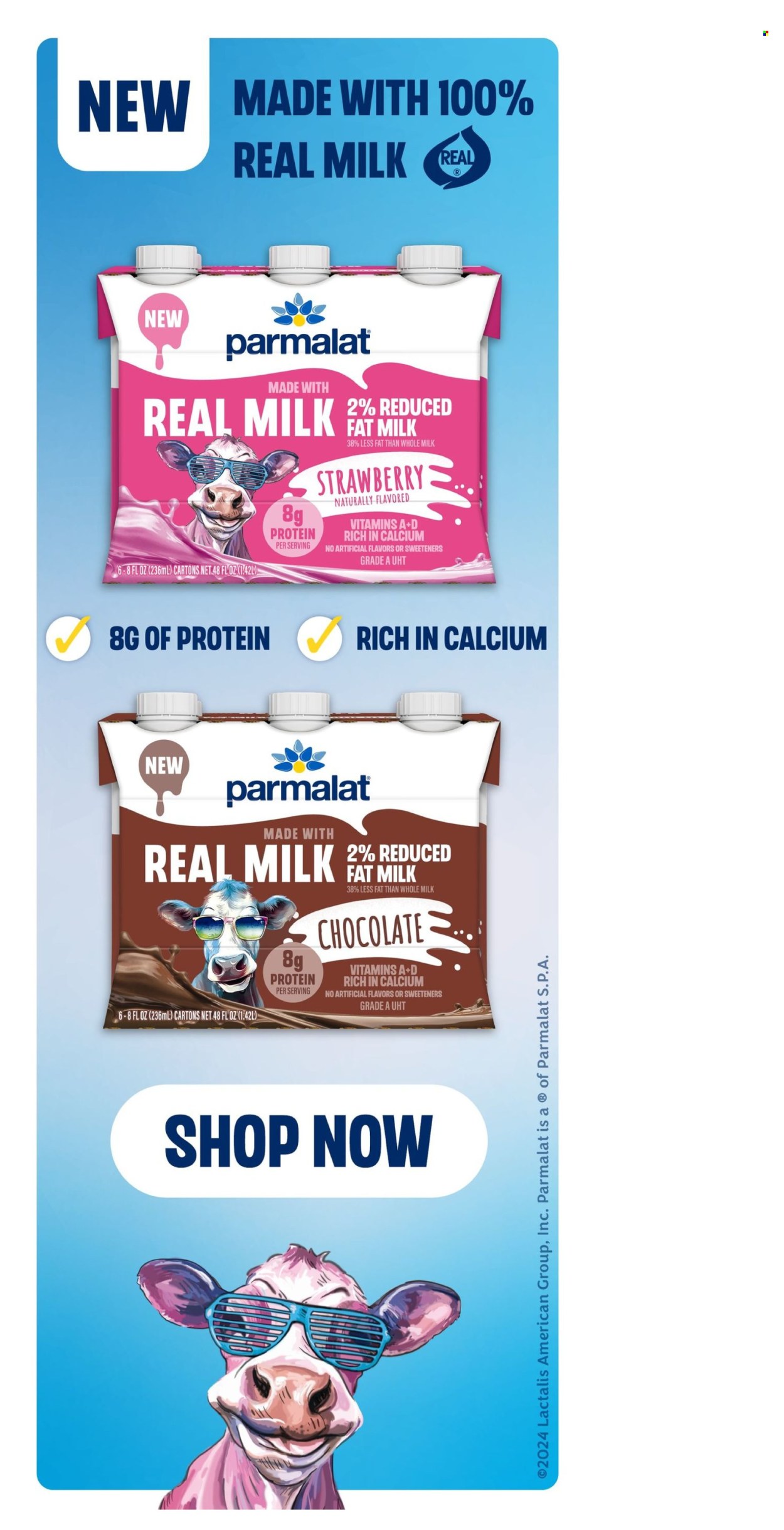 Stop & Shop ad - 01/03/2025 - 01/09/2025. Page 12