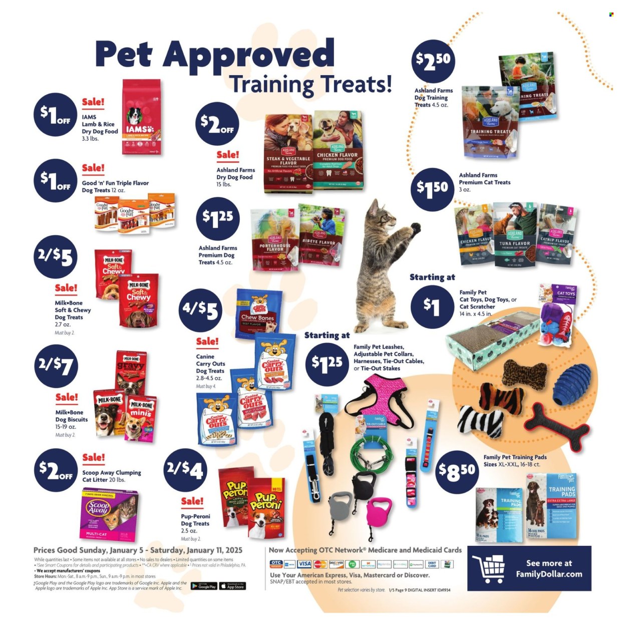 Family Dollar ad - 01/05/2025 - 01/11/2025. Page 13