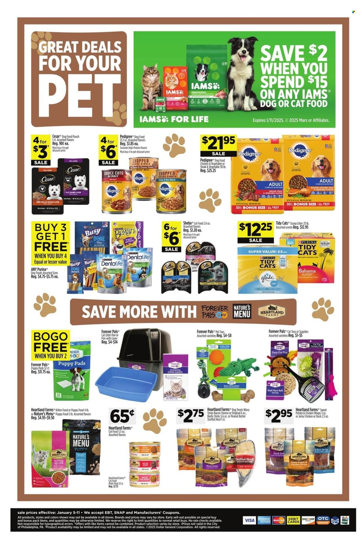 Dollar General ad - 01/05/2025 - 01/11/2025. Page 8