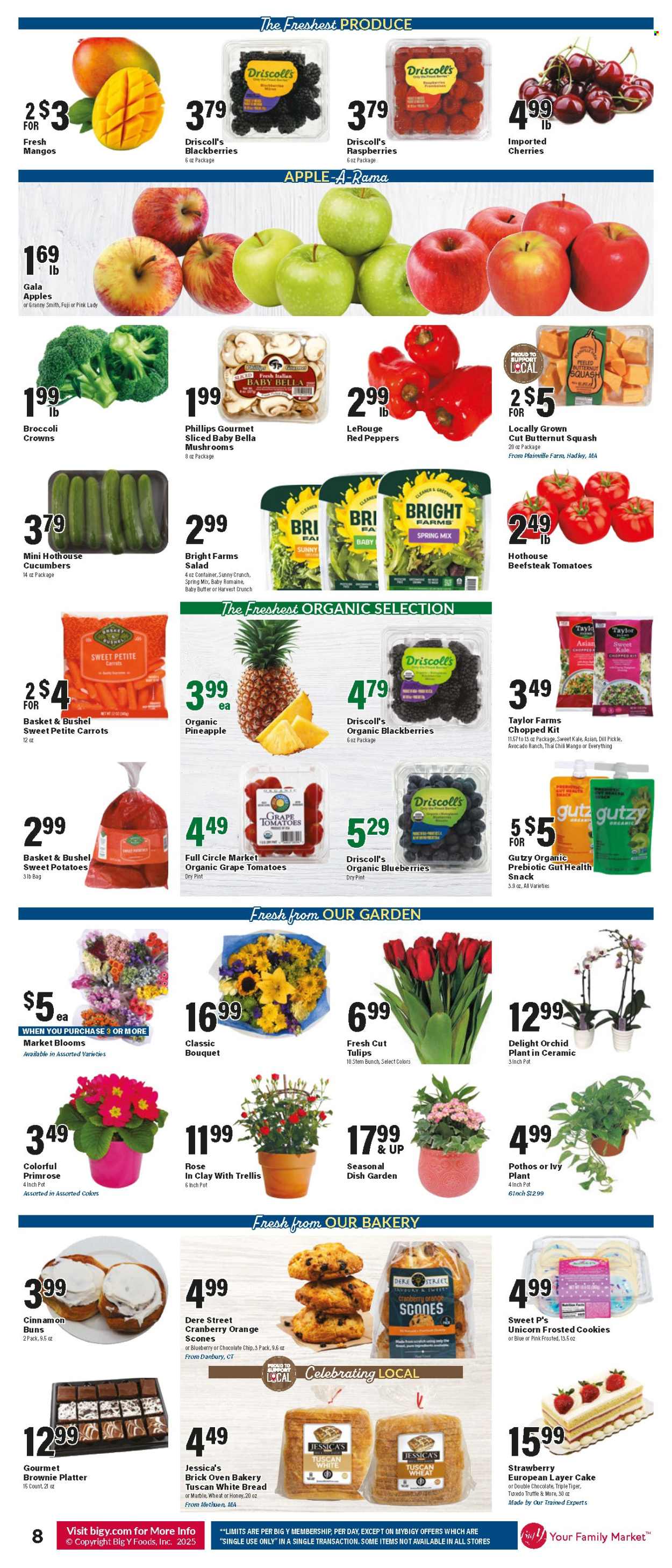 Big Y ad - 01/09/2025 - 01/15/2025. Page 9