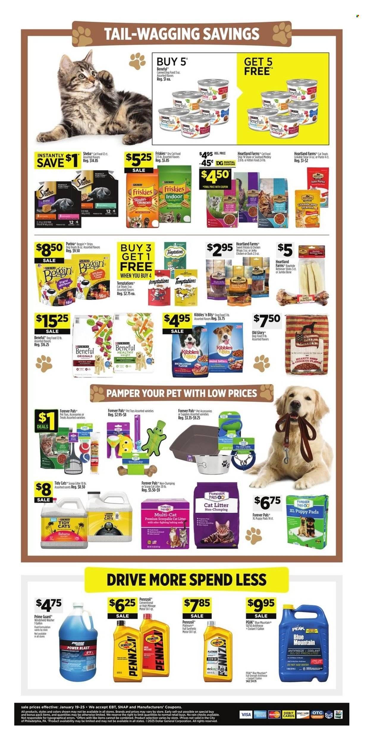 Dollar General ad - 01/19/2025 - 01/25/2025. Page 11